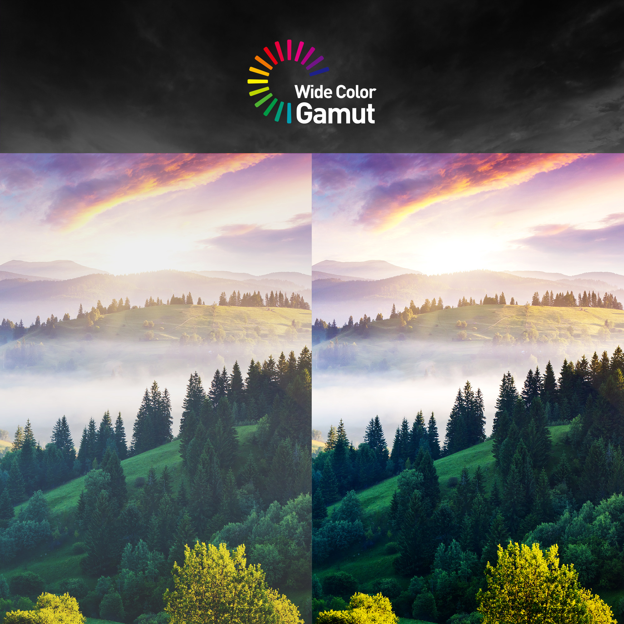 G2422P Esports Gaming Monitor